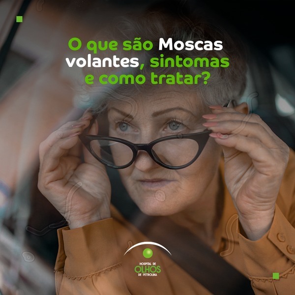 Moscas Volantes