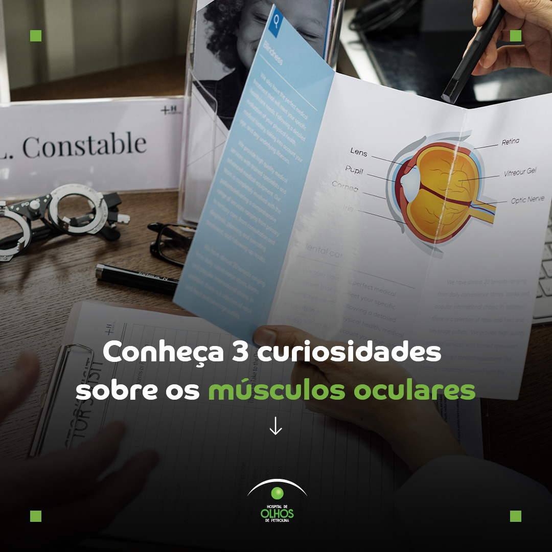 Conheça 3 curiosidades sobre os músculos oculares